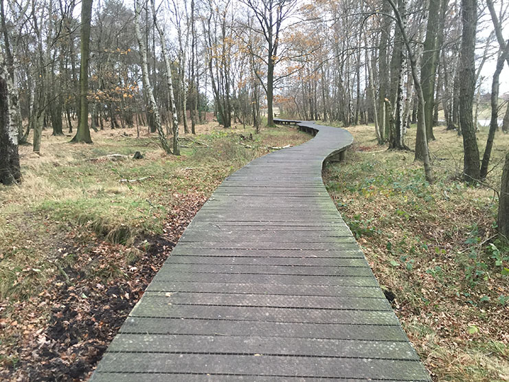 Dommelvallei Trail 10