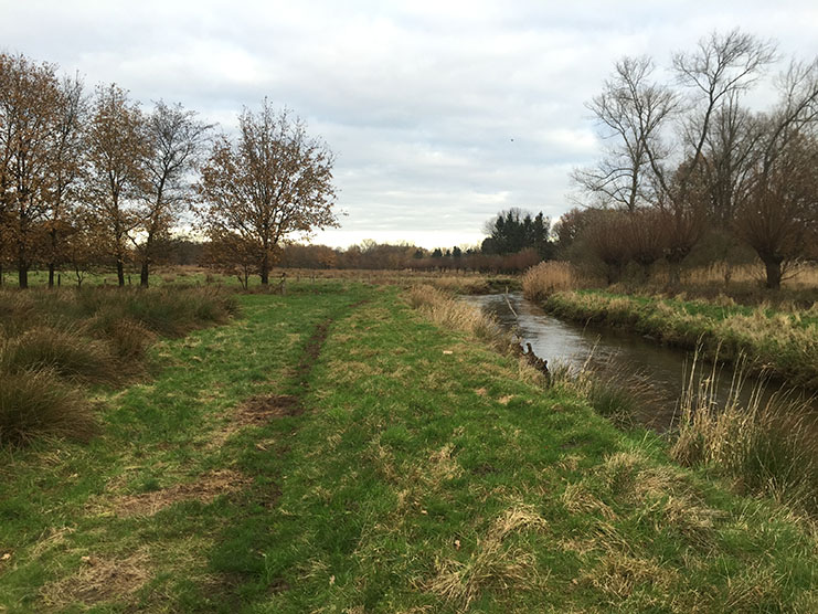 Dommelvallei Trail 12