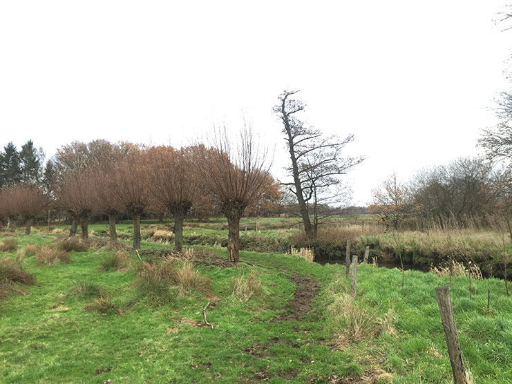 Dommelvallei Trail 13