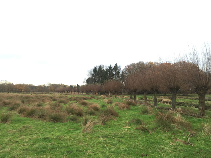 Dommelvallei Trail 14