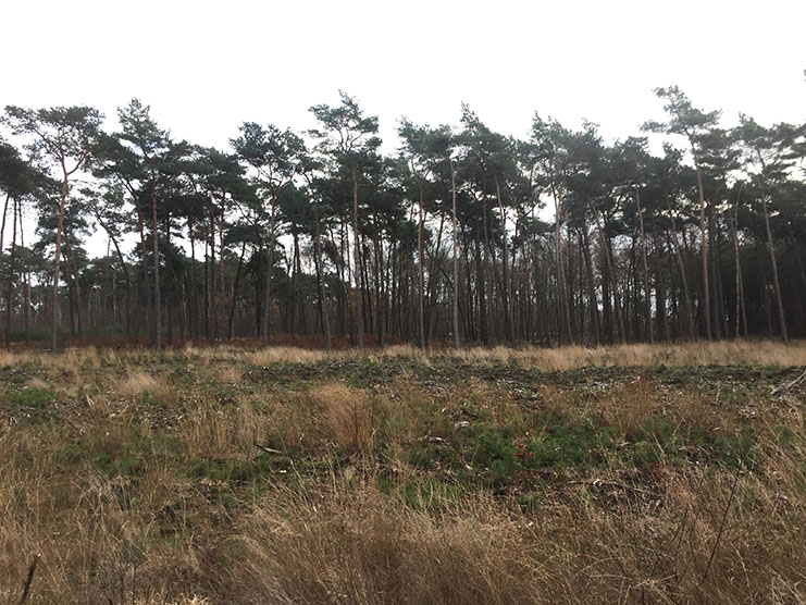 Dommelvallei Trail 17