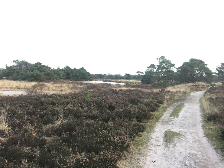 Dommelvallei Trail 18