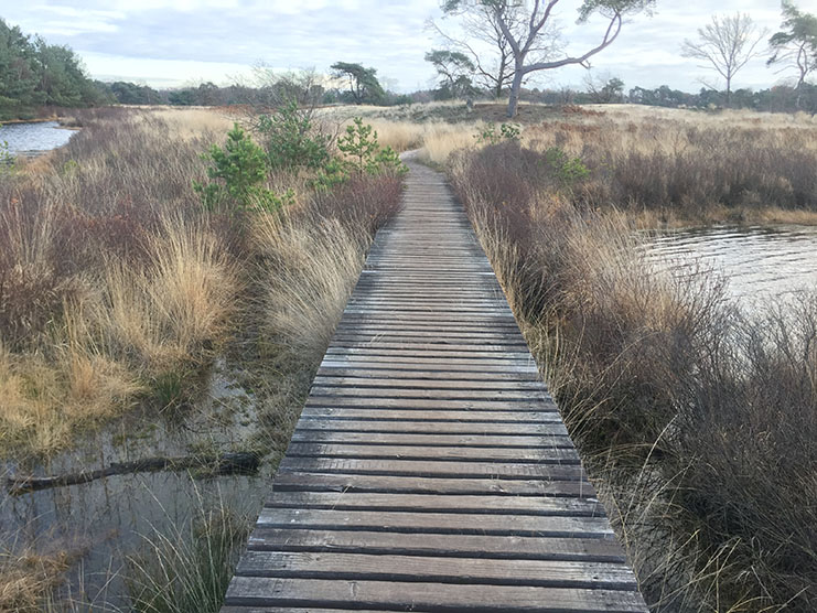 Dommelvallei Trail 19