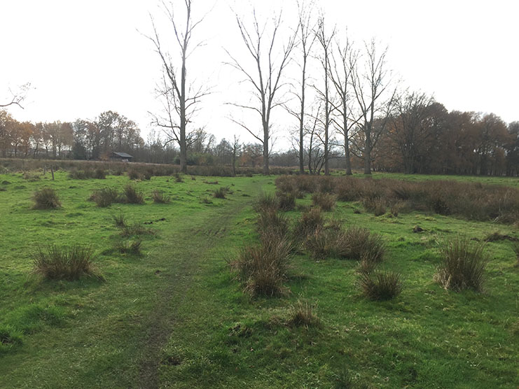 Dommelvallei Trail 21