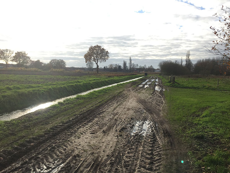 Dommelvallei Trail 23