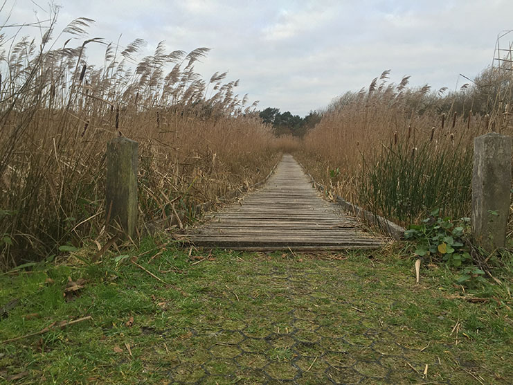 Dommelvallei Trail 8