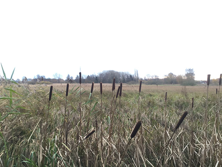 Dommelvallei Trail 9